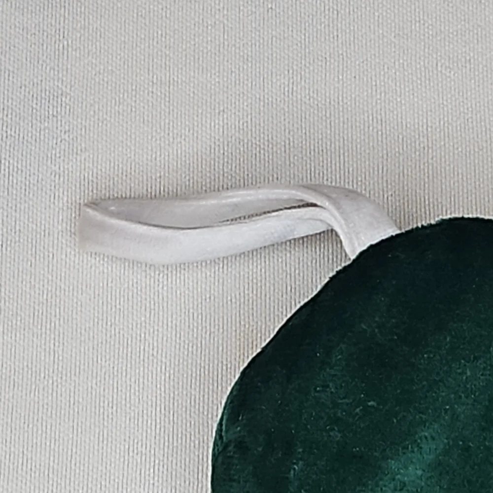 Green Dog Bone Shaped Pet Gift Bag